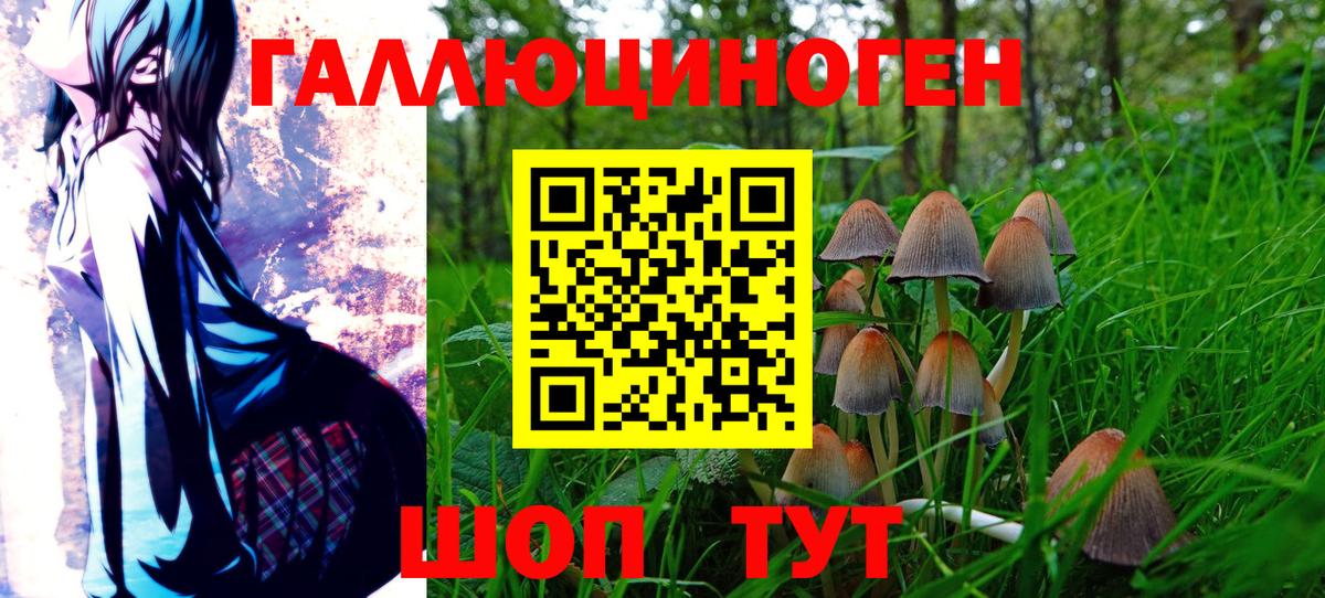 Керчь  Псилоцибиновые грибы мухоморы  Вход с VPN  Псилоцибиновые грибы Psilocybe 
